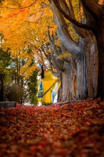 A woman in a saree fixing her hair while standing next to a series of trees with yellow and orange leaves, and with bright red fallen leaves covering the ground in front of her.