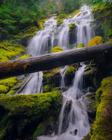 Slow shutter shot of a cascading waterfall surrounded by bright green moss-covered rocks, a fallen tree partially obstructing the view.