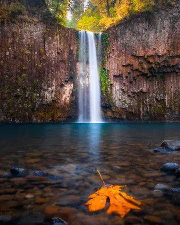 A waterfall with a maple leaf in the foreground.