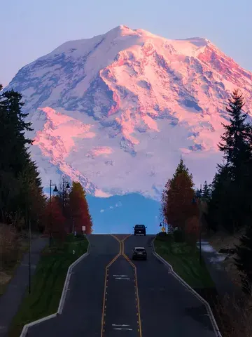 A snow-covered Mount Rainier with post-sunset purple glow is looming large in the backdrop of a road with a few cars, with trees lining up on both sides.