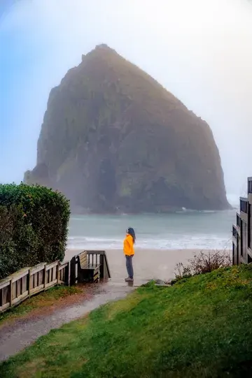 A woman in yellow jacket standing with their back towards the camera, with the Pacific ocean and a large seastack looming large in the background.